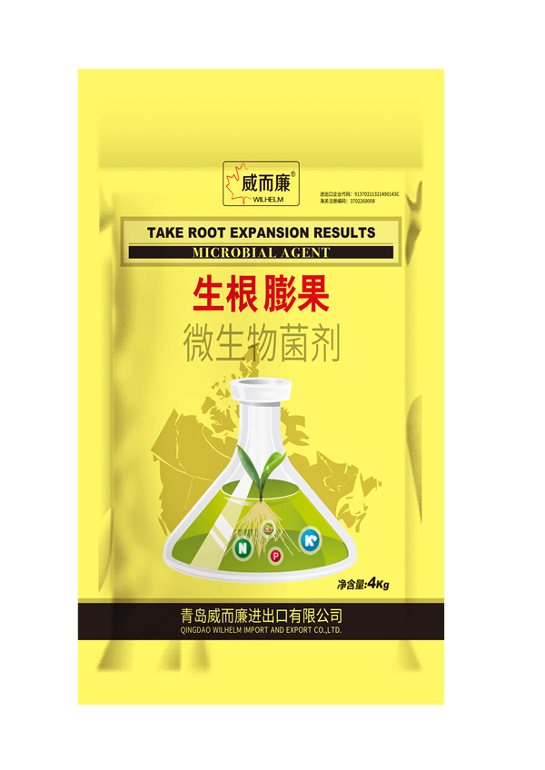 生根膨果